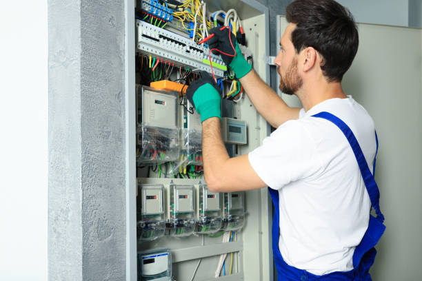 Best Electrician for Home Renovation  in Cherry Valley, IL