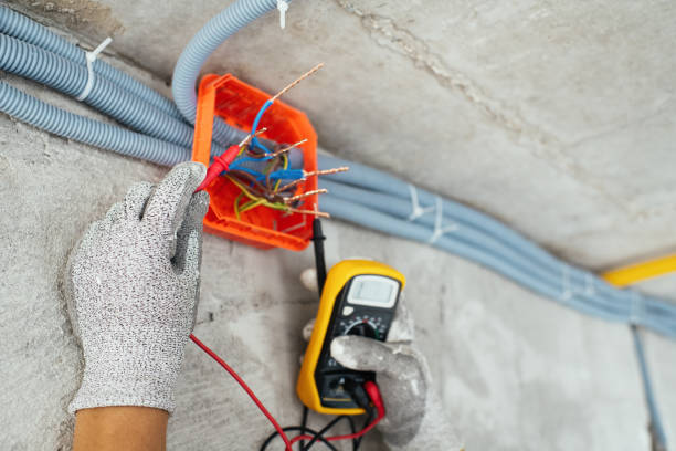 Best Electrician for Home Renovation  in Cherry Valley, IL